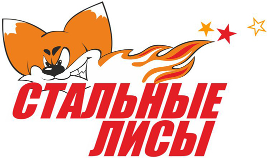 Stalnye Lisy 2009-Pres Primary Logo iron on heat transfer